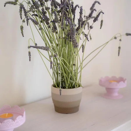 Apartmán Mairoula Apartments! Koróni