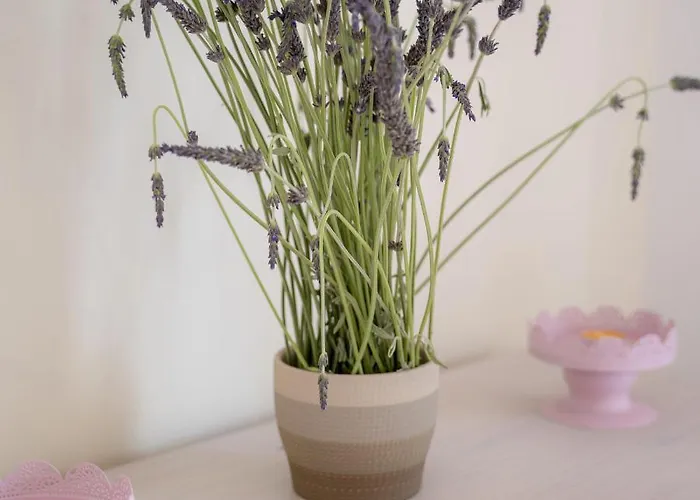 Appartement Mairoula Apartments! Koróni